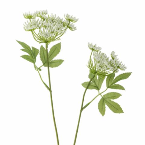 Fennel Stem, White, Artificial Flowers