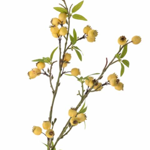 Hawthorn Branche, Jaune, Fleurs artificielles