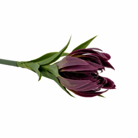 Lily Stiel, Violett, Künstliche Blumen