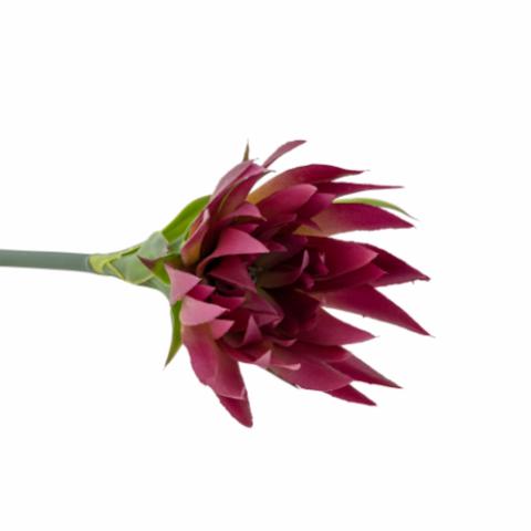 Lily Stem, Purple, Artificial Flowers