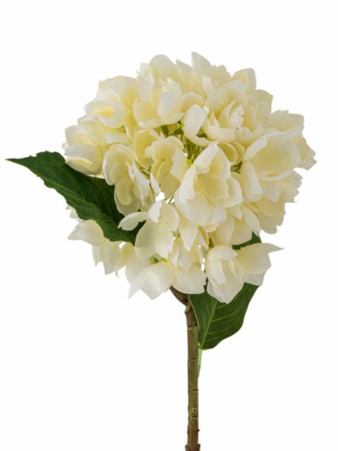 Hydrangea Tige, Blanc, Fleurs artificielles