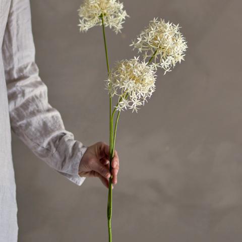 Allium Tige, Blanc, Fleurs artificielles