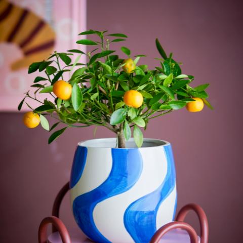 Romy Pot de fleurs, Bleu, Grès