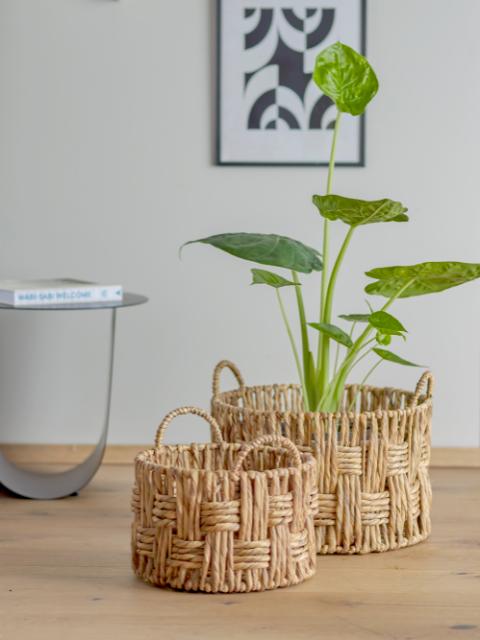 Pepita Basket, Nature, Water Hyacinth