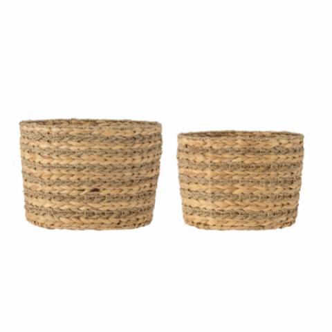 Indra Basket, Nature, Water Hyacinth