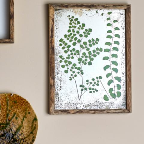 Tipper Illustration avec cadre, Verte, Bois de sapin