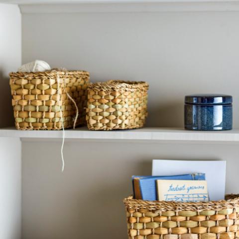 Ramon Panier, Nature, Herbier marin