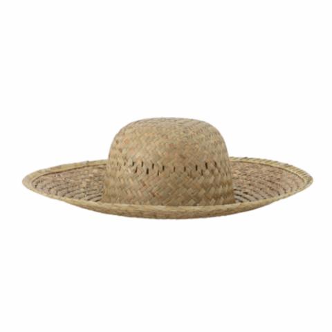 Limona Chapeau, Nature, Herbier marin