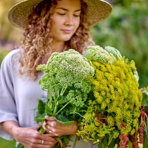 Limona Hut, Natur, Seegras