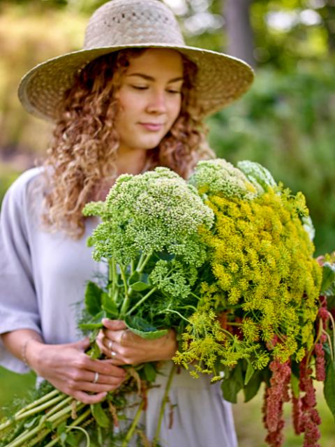 Limona Chapeau, Nature, Herbier marin