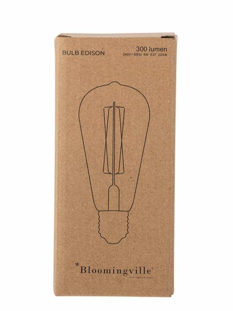Edison LED Bulb, Clear, Glass