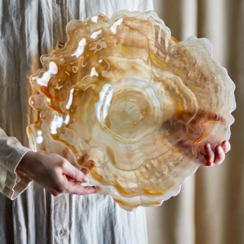 Asimi Skål, Natur, Glas