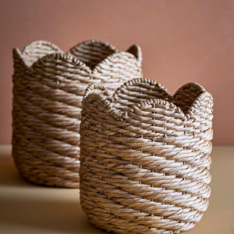 Liam Basket, Nature, Water Hyacinth