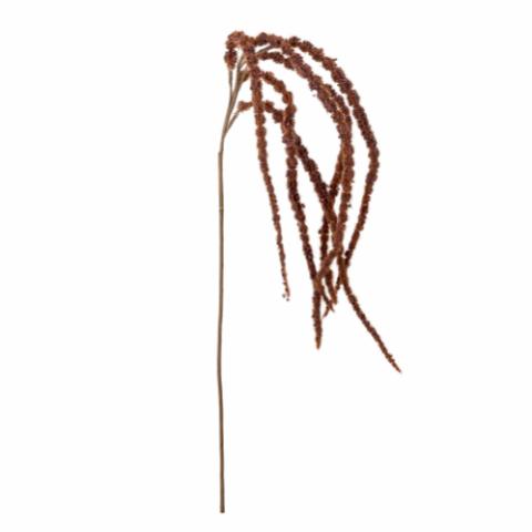 Foxtail Stem, Brown, Artificial Flowers