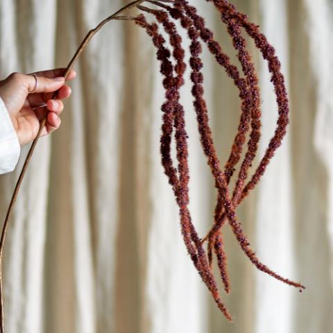 Foxtail Stem, Brown, Artificial Flowers