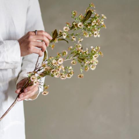 Waxflower Tige, Blanc, Fleurs artificielles