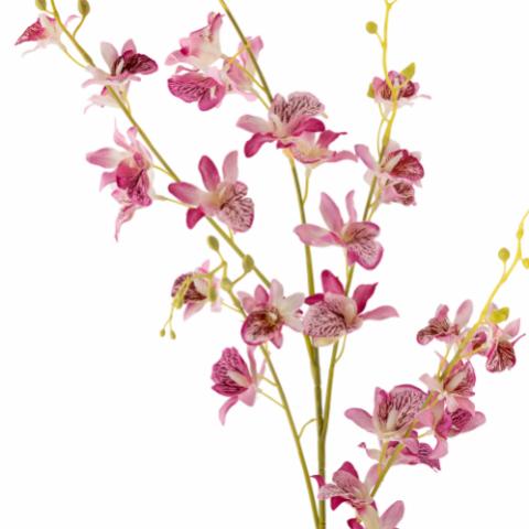 Orchid Stilk, Rosa, Kunstige Blomster