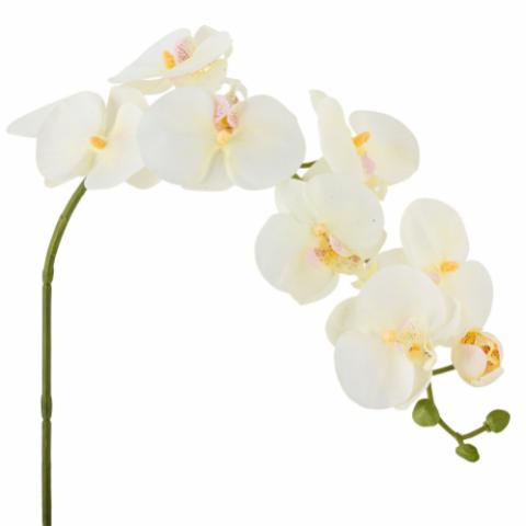 Orchid Stilk, Hvid, Kunstige Blomster