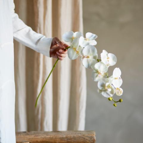 Orchid Tige, Blanc, Fleurs artificielles