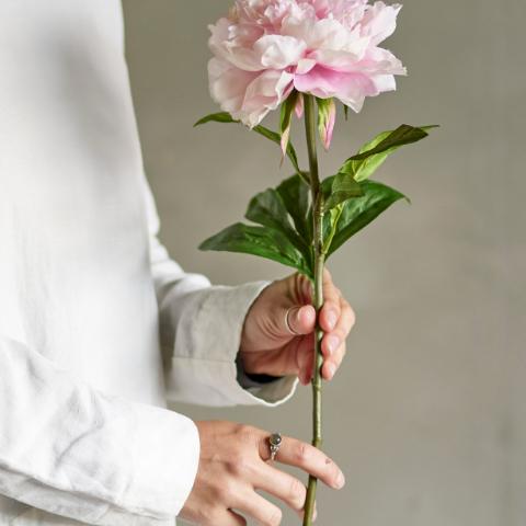 Peony Tige, Rose, Fleurs artificielles