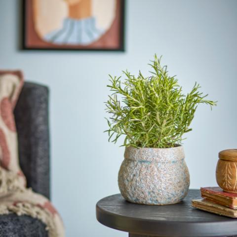 Mayia Pot de fleurs, Gris, Grès