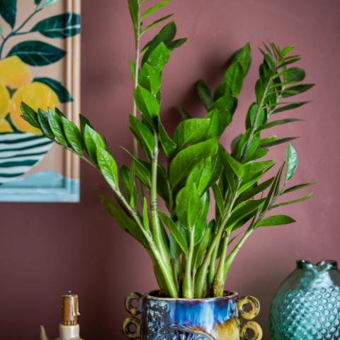 Walton Pot de fleurs, Multicolore, Grès