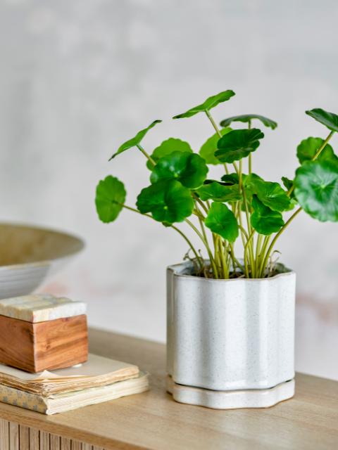 Argyle Flowerpot w/Saucer, Grey, Stoneware