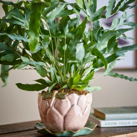 Jaylee Flowerpot w/Saucer, Rose, Stoneware