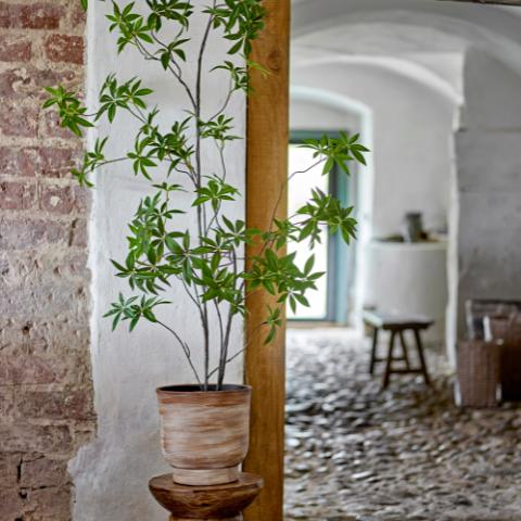 Palmatum Pflanze, Grün, Künstliche Blumen