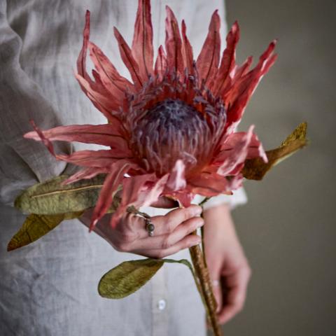 Protea Tige, Rose, Fleurs artificielles