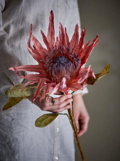 Protea Stem, Rose, Artificial Flowers