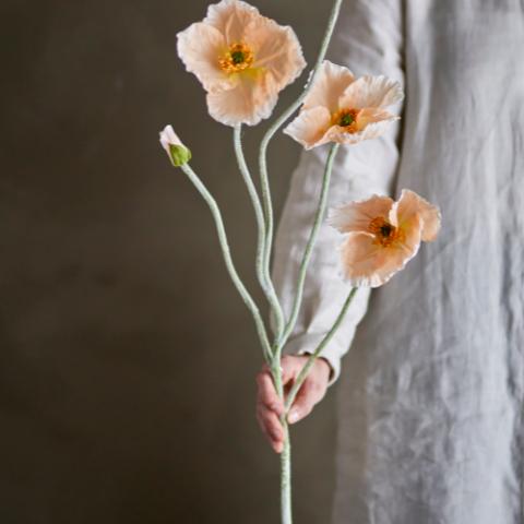 Poppy Stem, Nature, Artificial Flowers
