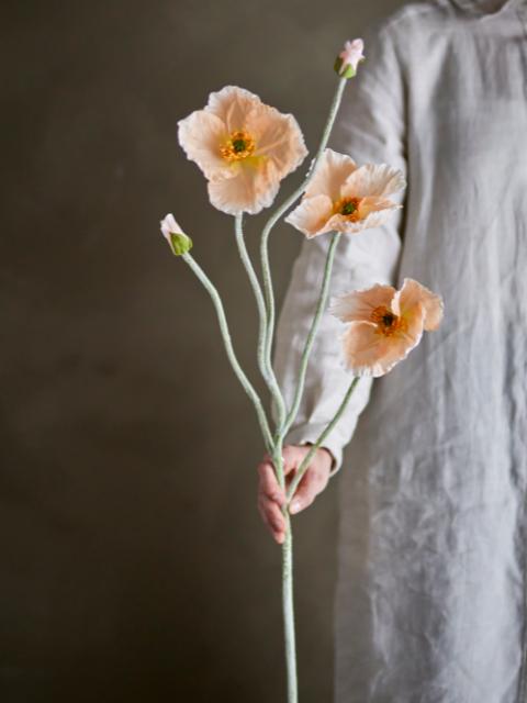 Poppy Stem, Nature, Artificial Flowers