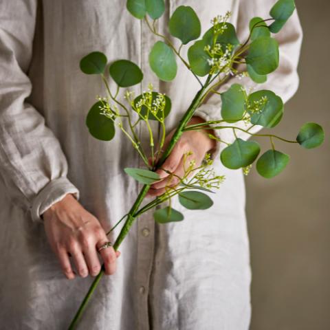 Eucalyptus Tige, Verte, Fleurs artificielles