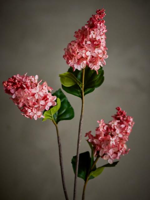 Hydrangea Tige, Rose, Fleurs artificielles
