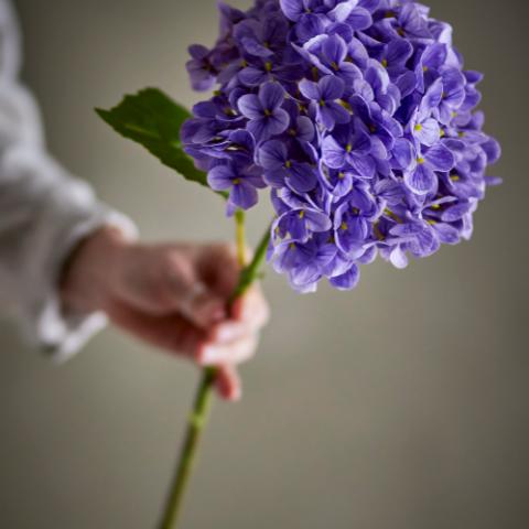 Hydrangea Stem, Purple, Artificial Flowers