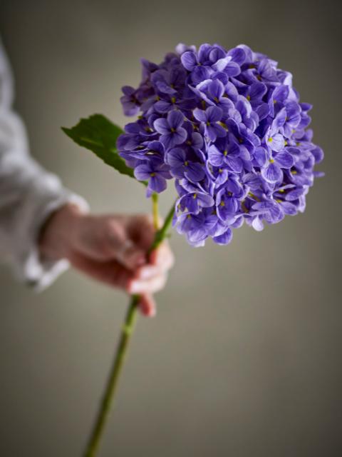 Hydrangea Tige, Violet, Fleurs artificielles
