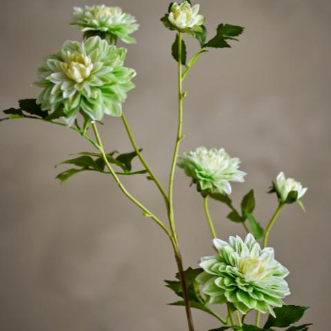 Chrysantemum Tige, Blanc, Fleurs artificielles