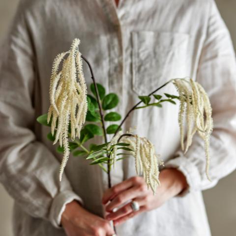 Reed Tige, Blanc, Fleurs artificielles