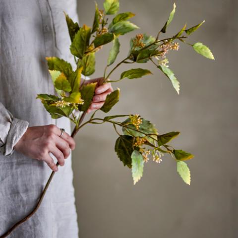 Eucalyptus Tige, Verte, Fleurs artificielles