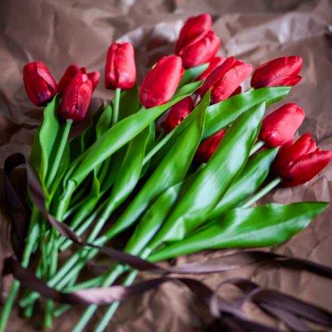 Tulip Bouquet, Rouge, Fleurs artificielles