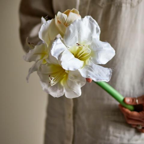 Amaryllis Stem, White, Artificial Flowers