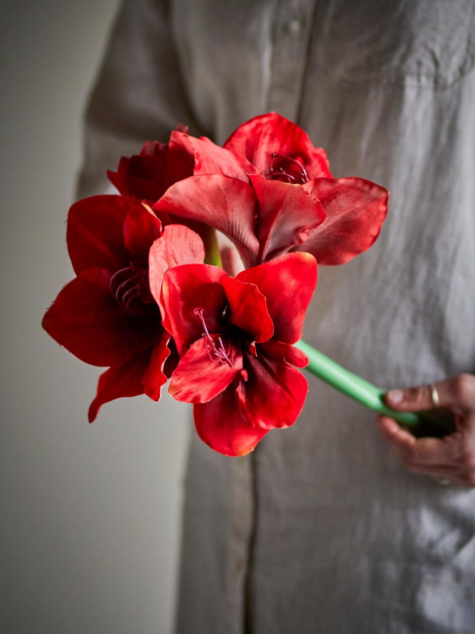 Amaryllis Stiel, Rot, Künstliche Blumen