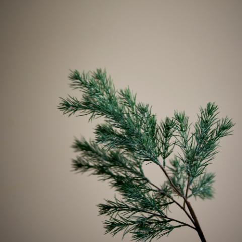 Pine Tige, Verte, Fleurs artificielles