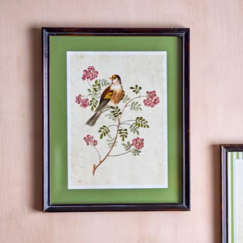 Renji Illustration w/ Frame, Multi, Firwood
