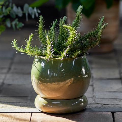 Imke Flowerpot w/Saucer, Green, Stoneware