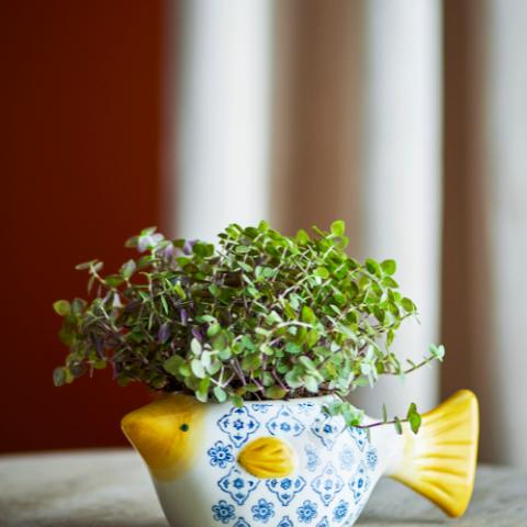 Wrenna Flowerpot, Multi, Stoneware